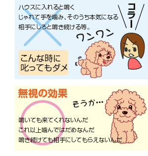 愛犬が可哀そう 無視は効果的な教育です 犬の総合情報サイト 帝塚山ハウンドカム通信