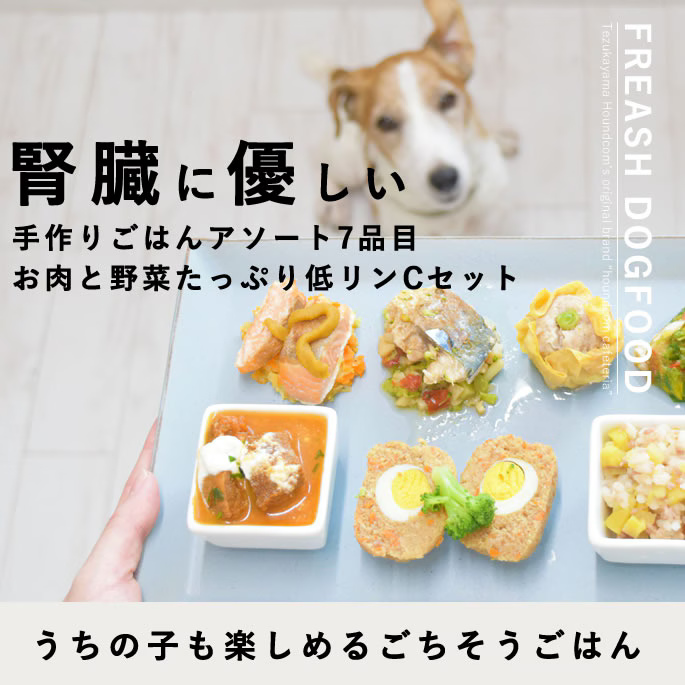 鶏肉のガラスープおじや