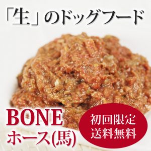 bone_002