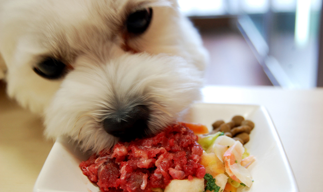愛犬の健康を考えるなら生肉 生骨が一番 犬の総合情報サイト 帝塚山ハウンドカム通信