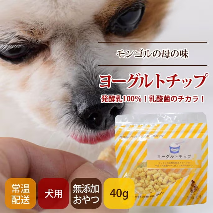 ヨーグルトチップ