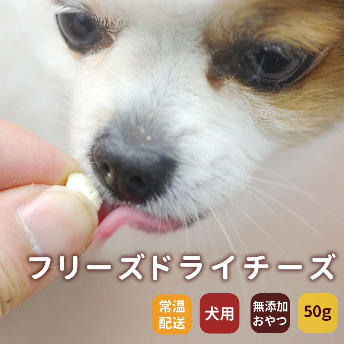 フリーズドライチーズ