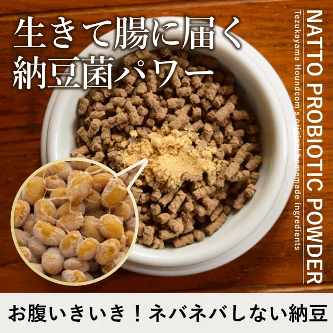 納豆菌粉末