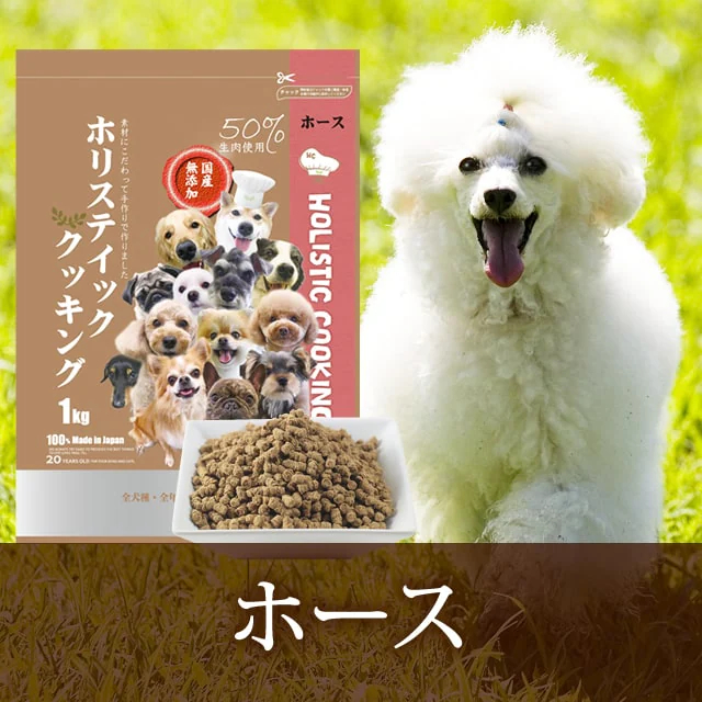 ホリスティッククッキング ホース