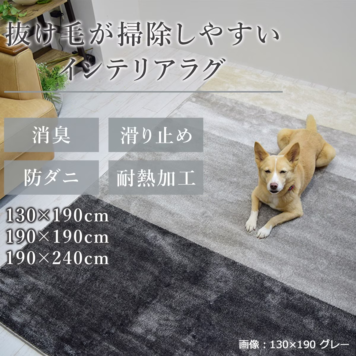 消臭ラグ ワグ
