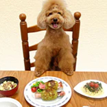 夕食向きフード