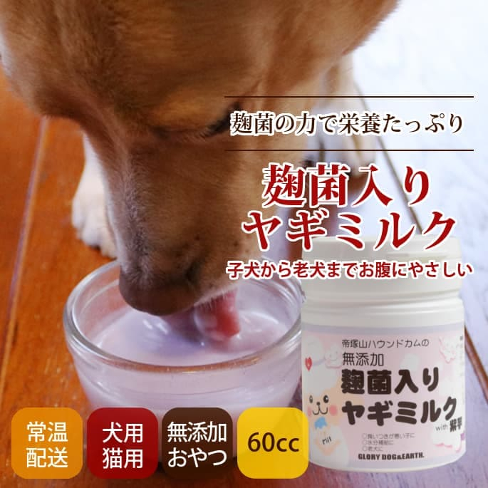 麹菌入りヤギミルク