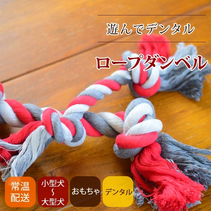 ロープダンベル