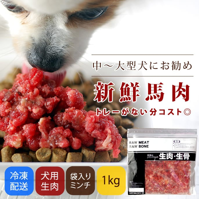 生馬肉 板タイプ