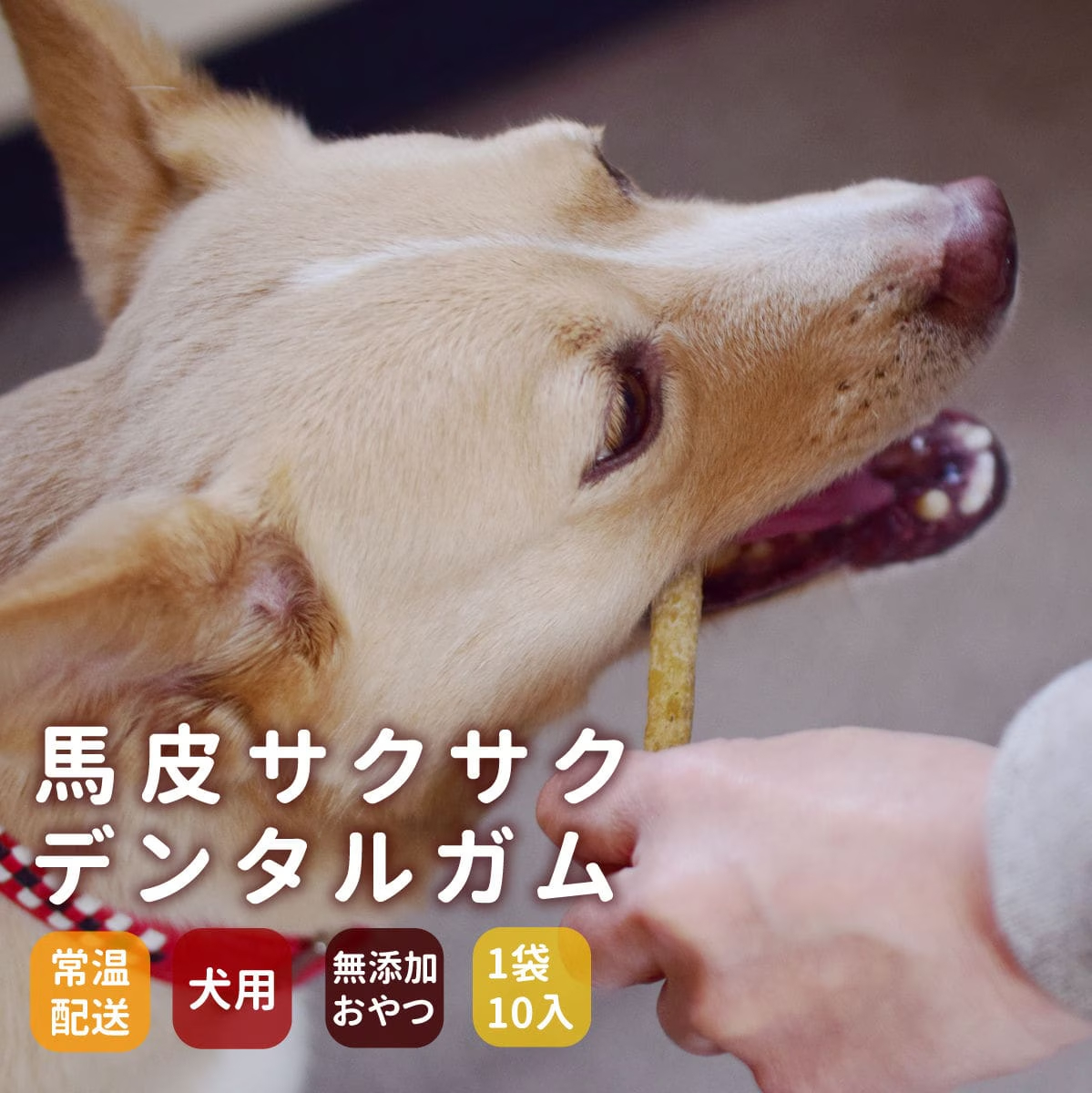 愛犬用ガム 馬皮サクサクデンタルガム
