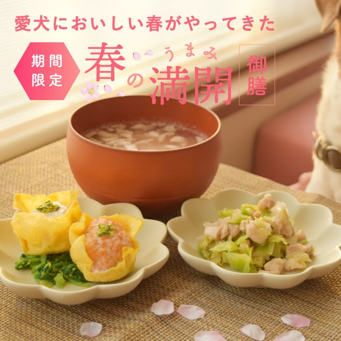 鶏もも肉ホイコーロー