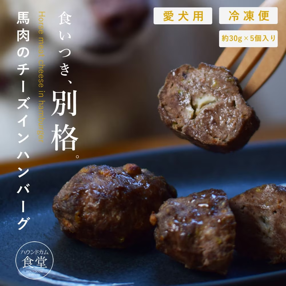馬肉のチーズインハンバーグ