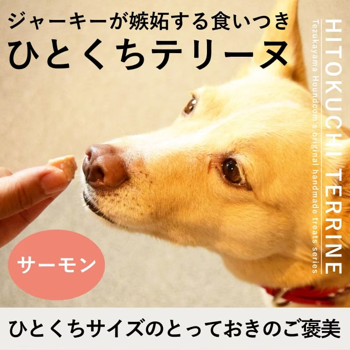 犬猫用無添加おやつ とっておきのひとくちテリーヌ サーモン