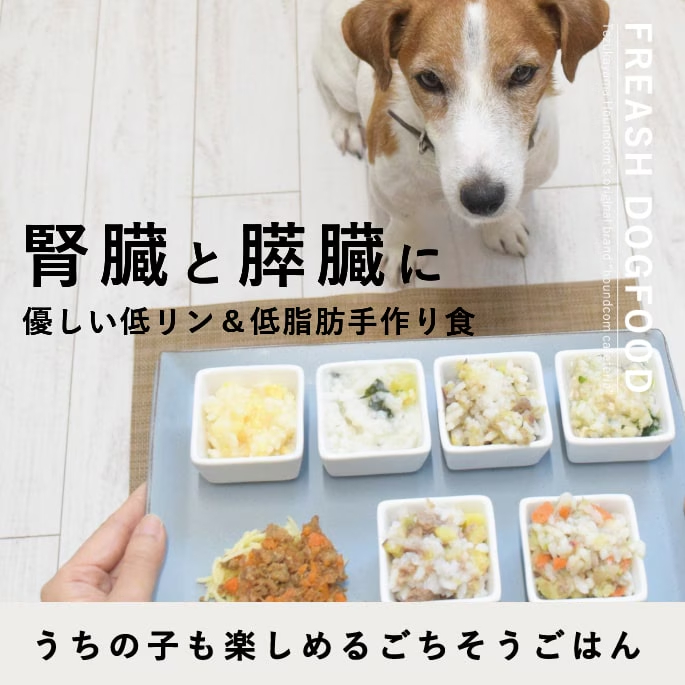 ムネ肉とほうれん草のおじや