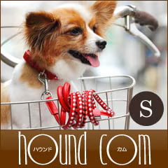 小型犬用リード ASHU ピッチ