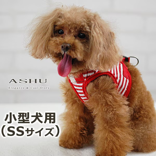 ASHU　ウェアハーネス ボーダー