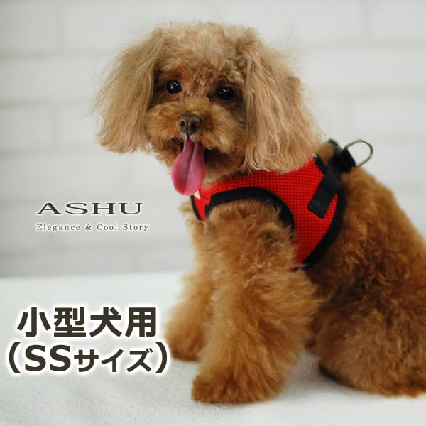 ASHU　ウェアハーネス メッシュ