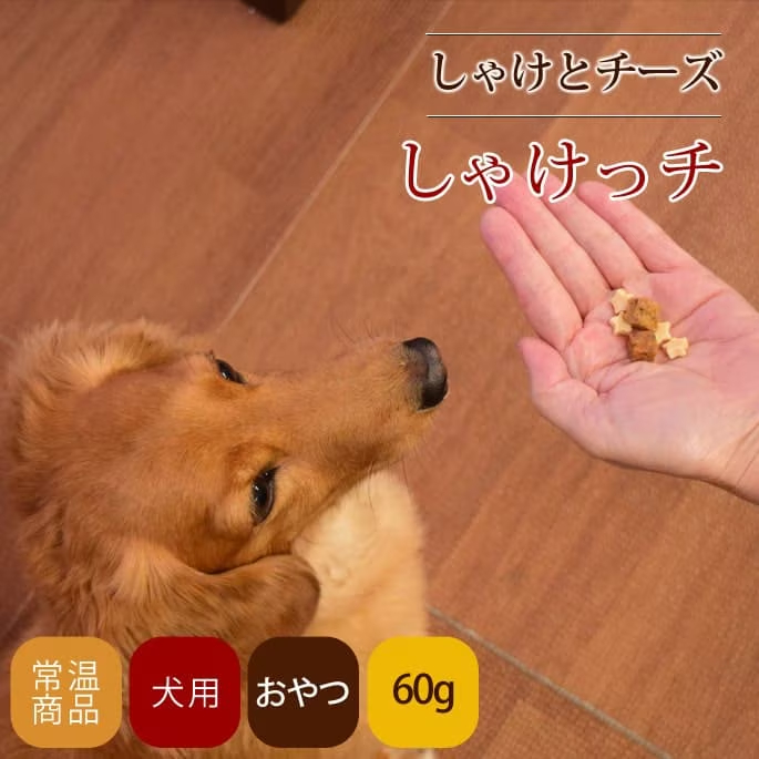 愛犬用おやつ　　しゃけっチ　60g　犬猫共用