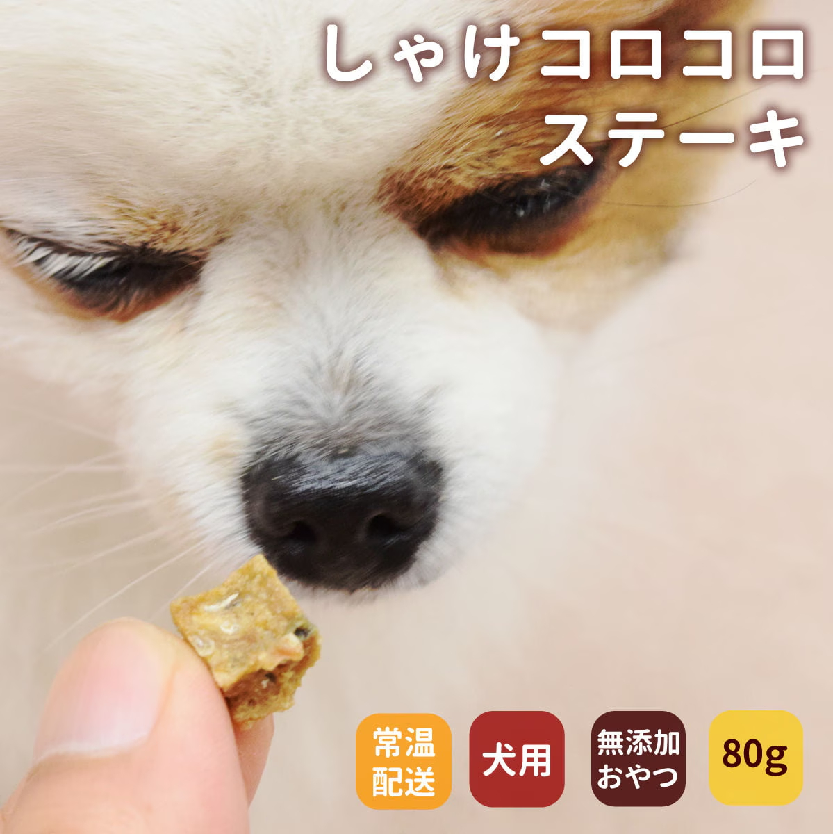 犬猫用おやつ 無添加獲れたて しゃけコロコロステーキ 魚のおやつ
