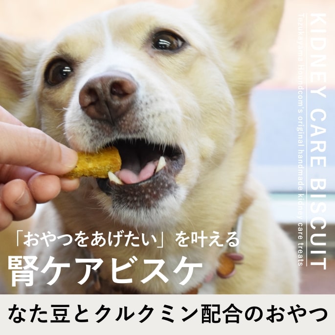 大幅値下げ‼️帝塚山ハウンドカム 腎ケアビスケソフト 10袋セット 無添加 犬用無添加おやつ｜小豆かぼちゃの腎ケアビスケソフト60g