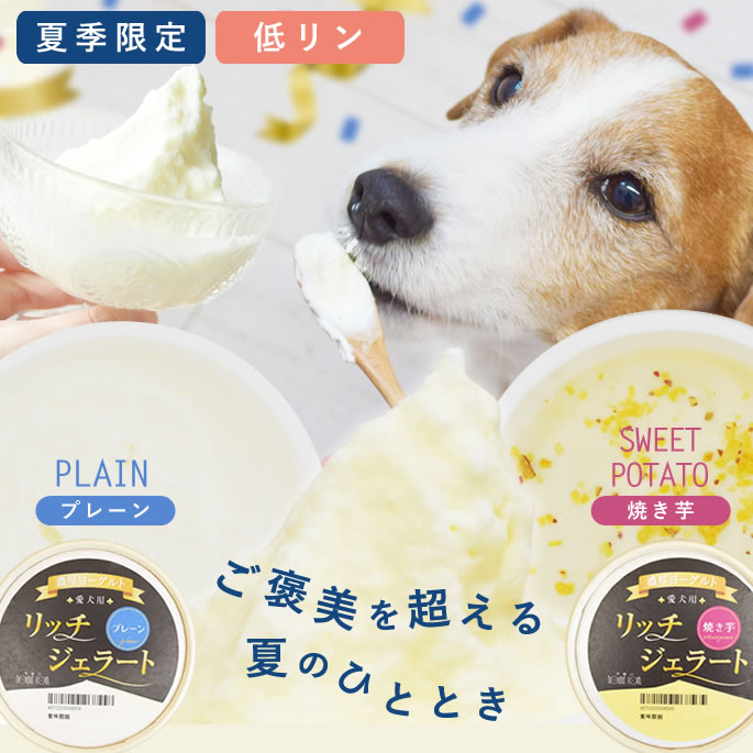 【夏季限定】濃厚ヨーグルト リッチジェラート2種6個セット