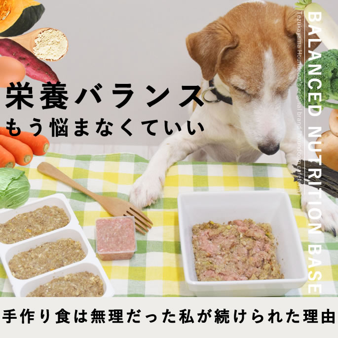 愛犬用手作り食 お肉を足すだけ栄養バランスごはん【ハウンドカム食堂】