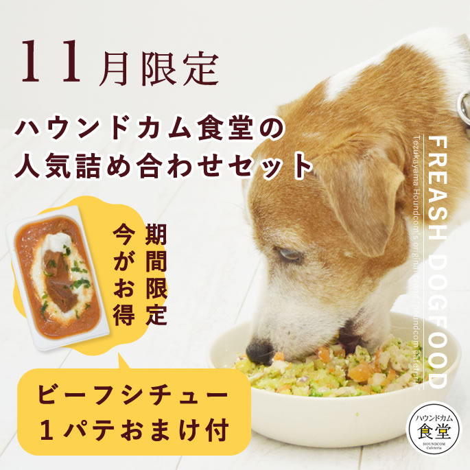 【11月限定】おまけ付！愛犬用手作りご飯 ハウンドカム食堂の人気詰め合わせセット