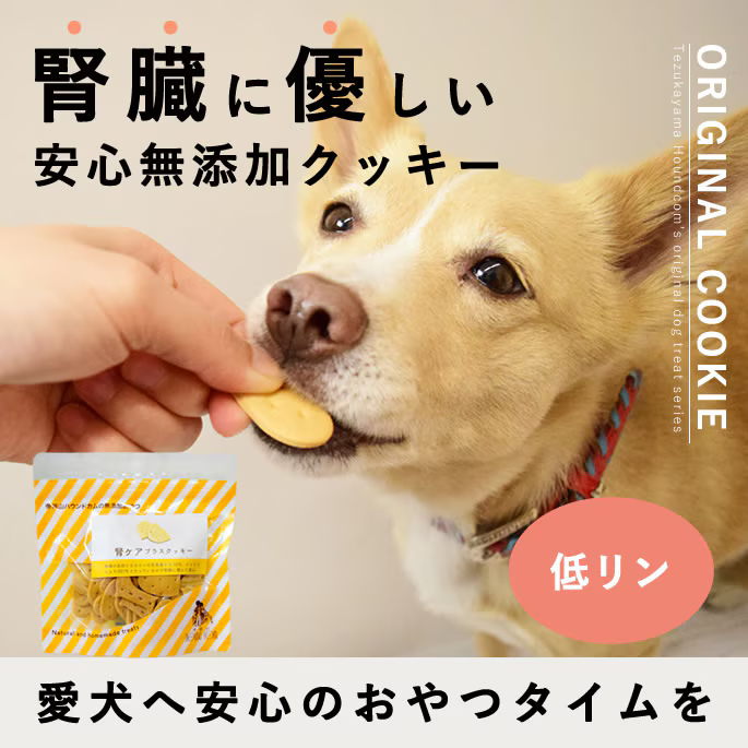 オリジナルクッキー 腎ケアプラス
