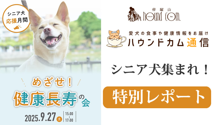めざせ！長寿の会　シニア犬イベント特別レポート