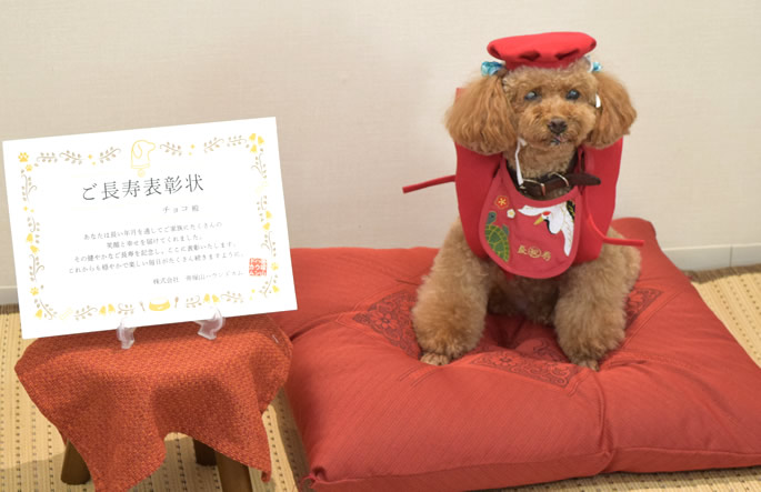 めざせ！長寿の会　シニア犬イベント　表彰