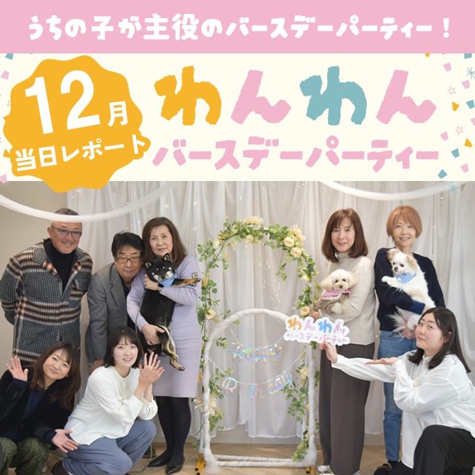 12月わんわんバースデー当日レポート